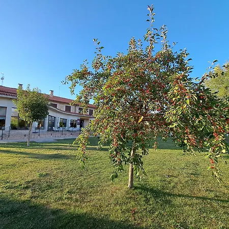 Prado De Las Merinas