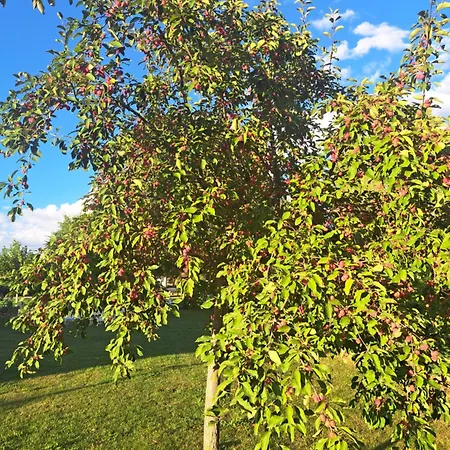 Prado De Las Merinas מלון
